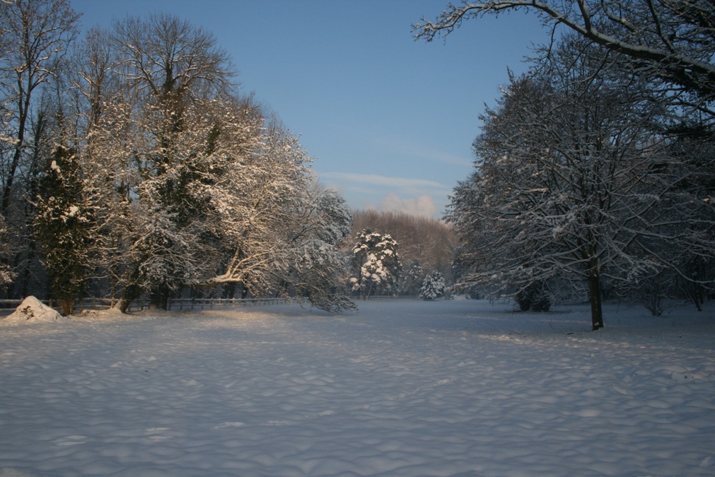 1418160498460le_chateau_de_philiomel_parc_sous_la_neige_1